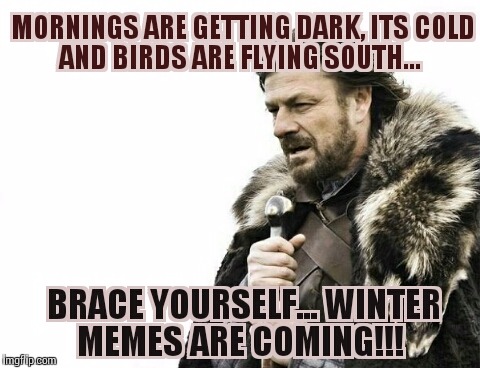 image tagged in winter memes are coming,brace yourselves x is coming | made w/ Imgflip meme maker