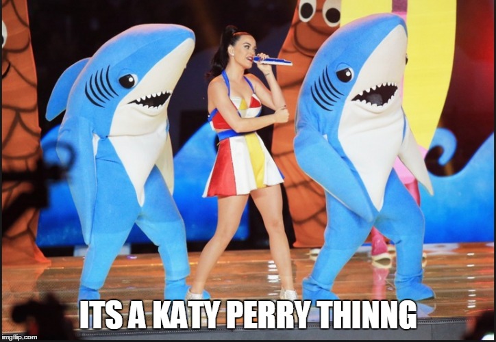 ITS A KATY PERRY THINNG | made w/ Imgflip meme maker
