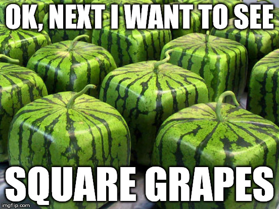 OK, NEXT I WANT TO SEE SQUARE GRAPES | made w/ Imgflip meme maker