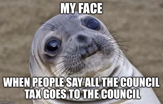 Awkward Moment Sealion Meme | MY FACE WHEN PEOPLE SAY ALL THE COUNCIL TAX GOES TO THE COUNCIL | image tagged in memes,awkward moment sealion | made w/ Imgflip meme maker