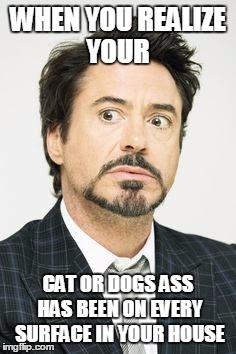Seriously. It's poopy butt is on everything | WHEN YOU REALIZE YOUR CAT OR DOGS ASS HAS BEEN ON EVERY SURFACE IN YOUR HOUSE | image tagged in when you,realize | made w/ Imgflip meme maker