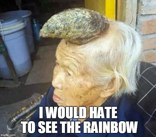 Unicorn woman | I WOULD HATE TO SEE THE RAINBOW | image tagged in rainbow,unicorn,woman | made w/ Imgflip meme maker