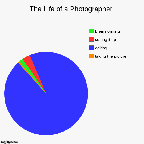 image tagged in funny,pie charts | made w/ Imgflip chart maker