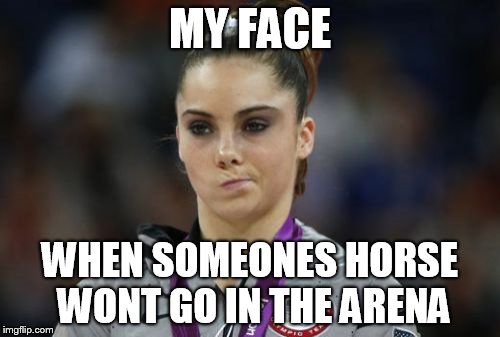 McKayla Maroney Not Impressed Meme | MY FACE WHEN SOMEONES HORSE WONT GO IN THE ARENA | image tagged in memes,mckayla maroney not impressed,barrel racing,barrel horse,barrel racer problems,crazy horse | made w/ Imgflip meme maker