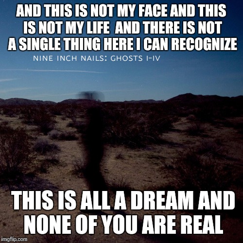 AND THIS IS NOT MY FACEAND THIS IS NOT MY LIFE AND THERE IS NOT A SINGLE THING HEREI CAN RECOGNIZE THIS IS ALL A DREAMAND NONE OF YOU AR | image tagged in nin | made w/ Imgflip meme maker