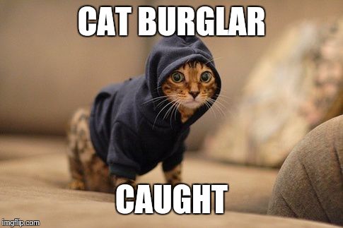 Hoody Cat | CAT BURGLAR CAUGHT | image tagged in memes,hoody cat | made w/ Imgflip meme maker