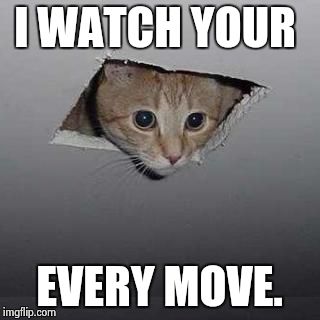Ceiling Cat | I WATCH YOUR EVERY MOVE. | image tagged in ceiling cat | made w/ Imgflip meme maker