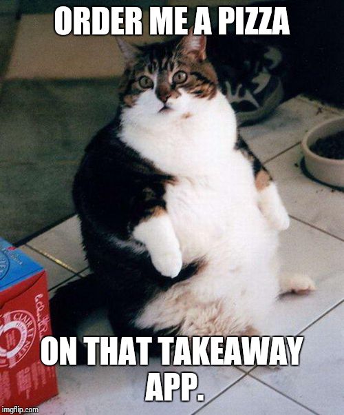 fat cat | ORDER ME A PIZZA ON THAT TAKEAWAY APP. | image tagged in fat cat | made w/ Imgflip meme maker