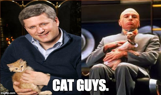Cat Guys | CAT GUYS. | image tagged in steven harper,1st world canadian problems,cat meme,dr evil | made w/ Imgflip meme maker