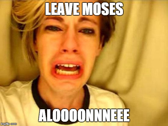 Leave Britney Alone | LEAVE MOSES ALOOOONNNEEE | image tagged in leave britney alone | made w/ Imgflip meme maker