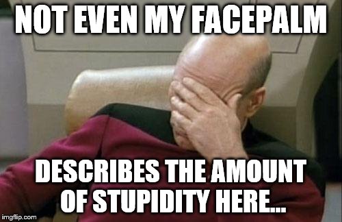 Captain Picard Facepalm Meme | NOT EVEN MY FACEPALM DESCRIBES THE AMOUNT OF STUPIDITY HERE... | image tagged in memes,captain picard facepalm | made w/ Imgflip meme maker