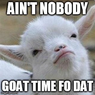 Image Tagged In Goatitude Puns Aint Nobody Got Time For That Imgflip