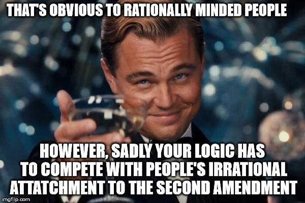 Leonardo Dicaprio Cheers Meme | THAT'S OBVIOUS TO RATIONALLY MINDED PEOPLE HOWEVER, SADLY YOUR LOGIC HAS TO COMPETE WITH PEOPLE'S IRRATIONAL ATTATCHMENT TO THE SECOND AMEND | image tagged in memes,leonardo dicaprio cheers | made w/ Imgflip meme maker