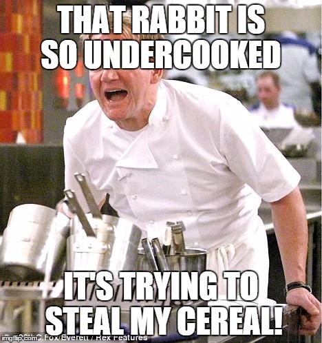 Chef Gordon Ramsay | THAT RABBIT IS SO UNDERCOOKED IT'S TRYING TO STEAL MY CEREAL! | image tagged in memes,chef gordon ramsay | made w/ Imgflip meme maker