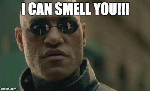 Matrix Morpheus Meme | I CAN SMELL YOU!!! | image tagged in memes,matrix morpheus | made w/ Imgflip meme maker