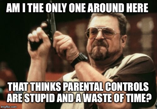 Am I The Only One Around Here Meme | AM I THE ONLY ONE AROUND HERE THAT THINKS PARENTAL CONTROLS ARE STUPID AND A WASTE OF TIME? | image tagged in memes,am i the only one around here | made w/ Imgflip meme maker
