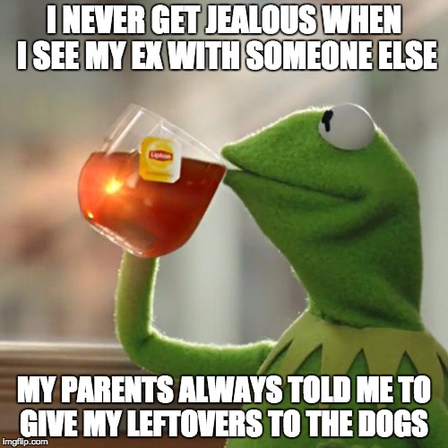 But That's None Of My Business Meme | I NEVER GET JEALOUS WHEN I SEE MY EX WITH SOMEONE ELSE MY PARENTS ALWAYS TOLD ME TO GIVE MY LEFTOVERS TO THE DOGS | image tagged in memes,but thats none of my business,kermit the frog | made w/ Imgflip meme maker