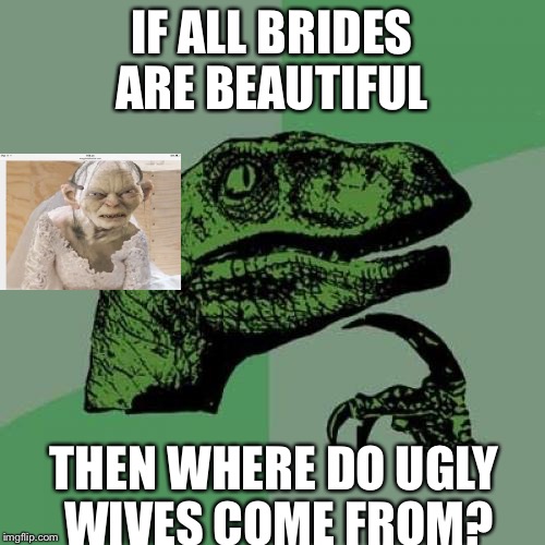 Philosoraptor | IF ALL BRIDES ARE BEAUTIFUL THEN WHERE DO UGLY WIVES COME FROM? | image tagged in memes,philosoraptor | made w/ Imgflip meme maker