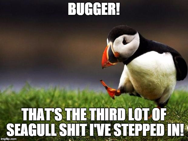 Unpopular Opinion Puffin | BUGGER! THAT'S THE THIRD LOT OF SEAGULL SHIT I'VE STEPPED IN! | image tagged in memes,unpopular opinion puffin | made w/ Imgflip meme maker