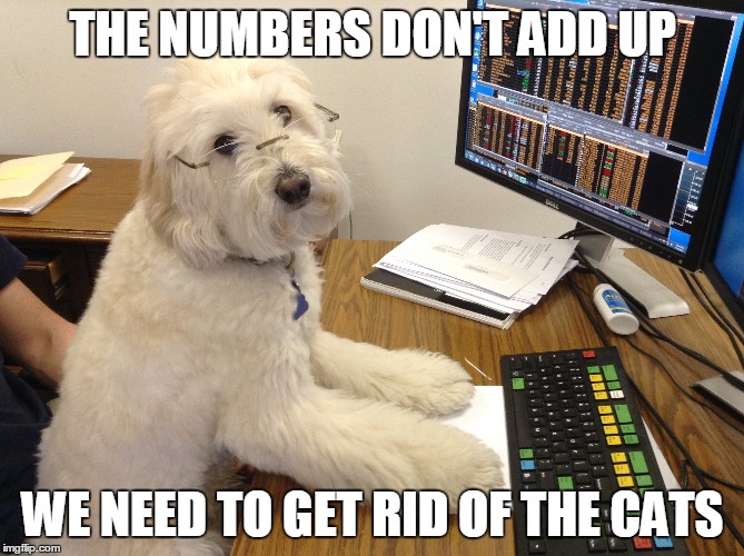 Stock Broker Dog | THE NUMBERS DON'T ADD UP WE NEED TO GET RID OF THE CATS | image tagged in dogs,dog,stock market,smart dog,funny cats,funny dog | made w/ Imgflip meme maker