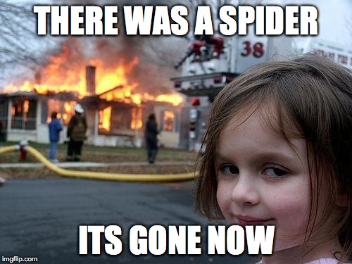 Disaster Girl Meme | THERE WAS A SPIDER ITS GONE NOW | image tagged in memes,disaster girl | made w/ Imgflip meme maker