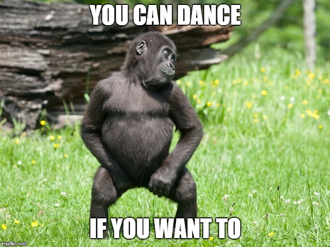 YOU CAN DANCE IF YOU WANT TO | image tagged in dance | made w/ Imgflip meme maker