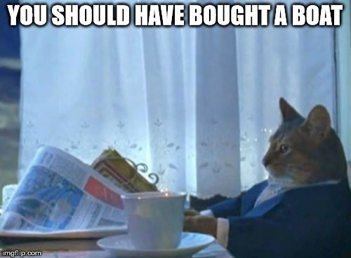 I Should Buy A Boat Cat Meme | YOU SHOULD HAVE BOUGHT A BOAT | image tagged in memes,i should buy a boat cat | made w/ Imgflip meme maker