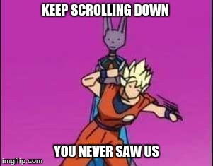 DBZ lag | KEEP SCROLLING DOWN YOU NEVER SAW US | image tagged in dragon ball z | made w/ Imgflip meme maker