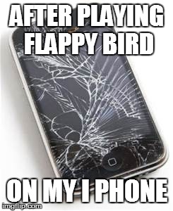 After Playing on my I phone | AFTER PLAYING FLAPPY BIRD ON MY I PHONE | image tagged in after playing on my i phone,flappy bird | made w/ Imgflip meme maker