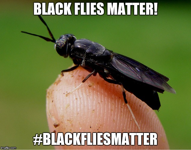 #BLACKFLIESMATTER | made w/ Imgflip meme maker