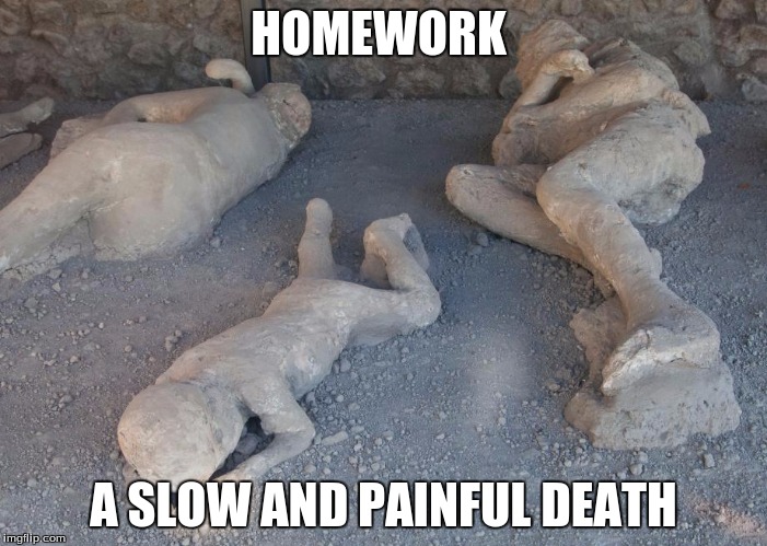 HOMEWORK A SLOW AND PAINFUL DEATH | image tagged in homework | made w/ Imgflip meme maker