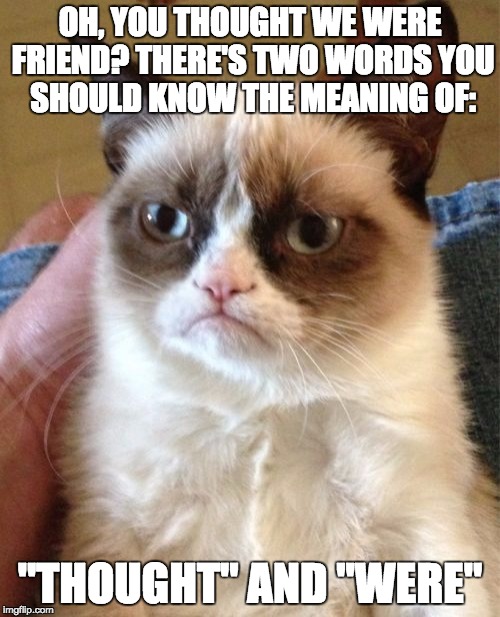 Grumpy Cat Meme | OH, YOU THOUGHT WE WERE FRIEND? THERE'S TWO WORDS YOU SHOULD KNOW THE MEANING OF: "THOUGHT" AND "WERE" | image tagged in memes,grumpy cat | made w/ Imgflip meme maker