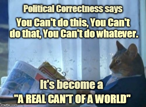I Should Buy A Boat Cat | You Can't do this, You Can't do that, You Can't do whatever. It's become a "A REAL CAN'T OF A WORLD" Political Correctness says | image tagged in memes,i should buy a boat cat | made w/ Imgflip meme maker