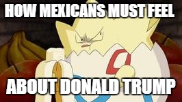 what you look like after watching the first Pokemon movie | HOW MEXICANS MUST FEEL ABOUT DONALD TRUMP | image tagged in what you look like after watching the first pokemon movie | made w/ Imgflip meme maker