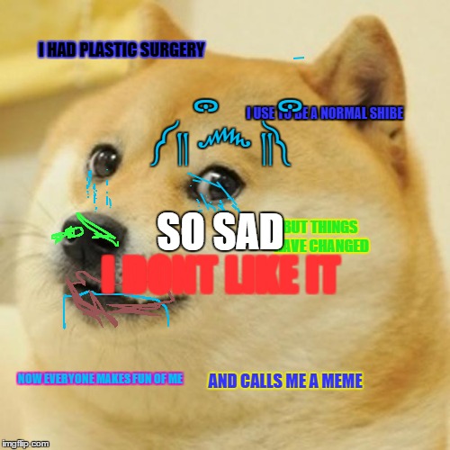 Doge Meme | I HAD PLASTIC SURGERY I USE TO BE A NORMAL SHIBE BUT THINGS HAVE CHANGED NOW EVERYONE MAKES FUN OF ME AND CALLS ME A MEME I DONT LIKE IT ༼ ༎ | image tagged in memes,doge | made w/ Imgflip meme maker