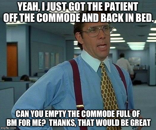 That Would Be Great | YEAH, I JUST GOT THE PATIENT OFF THE COMMODE AND BACK IN BED. CAN YOU EMPTY THE COMMODE FULL OF BM FOR ME?  THANKS, THAT WOULD BE GREAT | image tagged in memes,that would be great | made w/ Imgflip meme maker