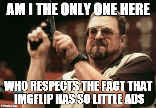 Seriously they only have ads when you make your meme. The site just looks so much nicer because of this | AM I THE ONLY ONE HERE WHO RESPECTS THE FACT THAT IMGFLIP HAS SO LITTLE ADS | image tagged in memes,am i the only one around here | made w/ Imgflip meme maker