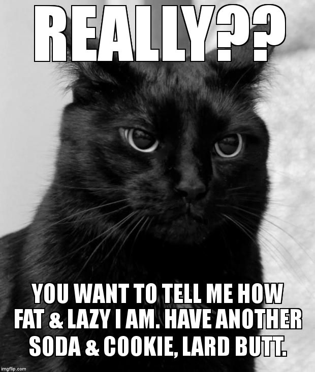 Just sit on their on your fat rear and call me names. | REALLY??  YOU WANT TO TELL ME HOW FAT & LAZY I AM. HAVE ANOTHER SODA & COOKIE, LARD BUTT. | image tagged in black cat pissed,fat,lazy cat,lazy,cat,kitty | made w/ Imgflip meme maker