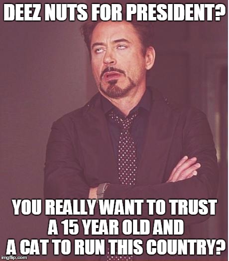 Face You Make Robert Downey Jr Meme | DEEZ NUTS FOR PRESIDENT? YOU REALLY WANT TO TRUST A 15 YEAR OLD AND A CAT TO RUN THIS COUNTRY? | image tagged in memes,face you make robert downey jr | made w/ Imgflip meme maker