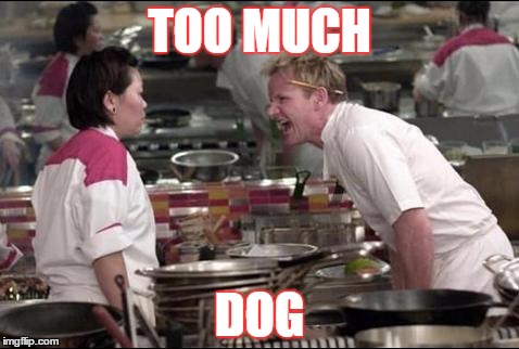 Angry Chef Gordon Ramsay Meme | TOO MUCH DOG | image tagged in memes,angry chef gordon ramsay | made w/ Imgflip meme maker
