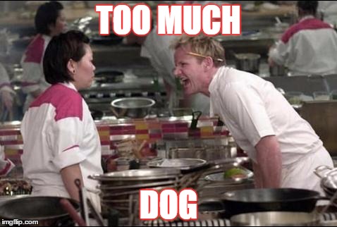 Angry Chef Gordon Ramsay | TOO MUCH DOG | image tagged in memes,angry chef gordon ramsay | made w/ Imgflip meme maker