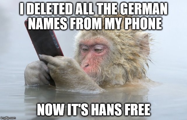 monkey cell phone | I DELETED ALL THE GERMAN NAMES FROM MY PHONE NOW IT'S HANS FREE | image tagged in monkey cell phone,puns | made w/ Imgflip meme maker