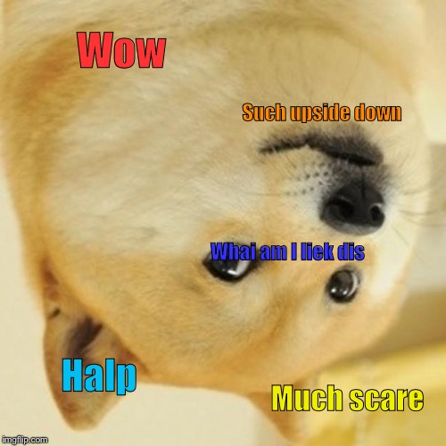 Upside down Doge | Wow Such upside down Whai am I liek dis Halp Much scare | image tagged in memes,doge,upside-down | made w/ Imgflip meme maker
