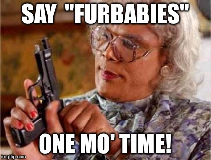 Madea | SAY  "FURBABIES" ONE MO' TIME! | image tagged in madea | made w/ Imgflip meme maker