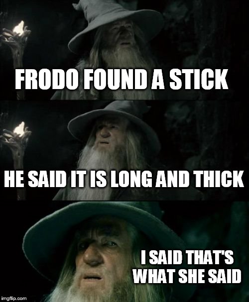 Confused Gandalf | FRODO FOUND A STICK HE SAID IT IS LONG AND THICK I SAID THAT'S WHAT SHE SAID | image tagged in memes,confused gandalf | made w/ Imgflip meme maker