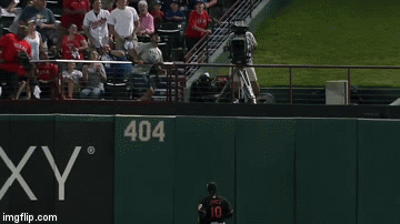 Chris Gimenez homer hits cameraman | image tagged in gifs | made w/ Imgflip video-to-gif maker