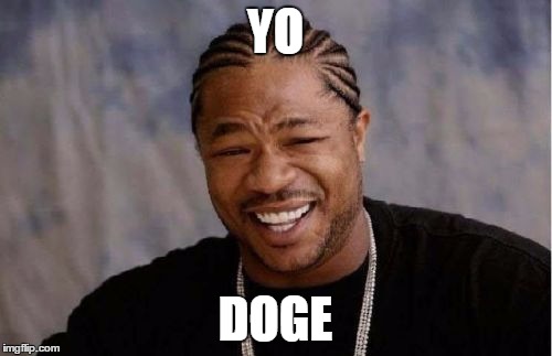 Yo Dawg Heard You Meme | YO DOGE | image tagged in memes,yo dawg heard you | made w/ Imgflip meme maker