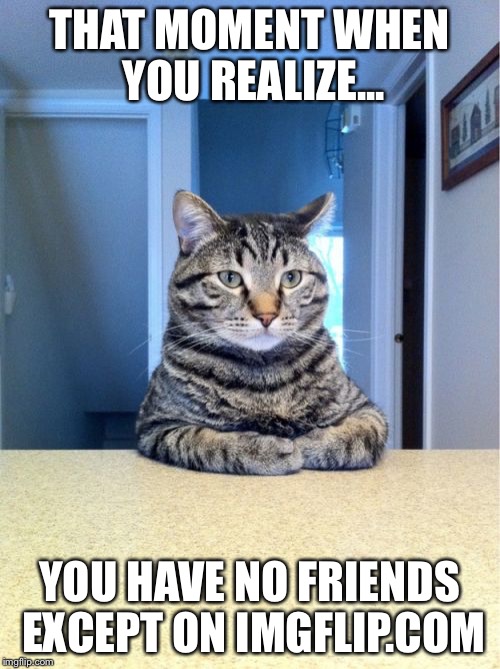 Take A Seat Cat Meme | THAT MOMENT WHEN YOU REALIZE... YOU HAVE NO FRIENDS EXCEPT ON IMGFLIP.COM | image tagged in memes,take a seat cat | made w/ Imgflip meme maker