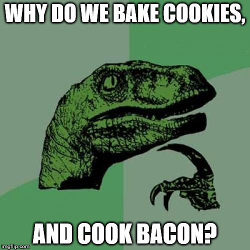 Philosoraptor | WHY DO WE BAKE COOKIES, AND COOK BACON? | image tagged in memes,philosoraptor | made w/ Imgflip meme maker