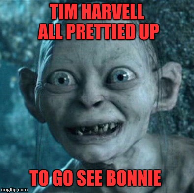 Gollum Meme | TIM HARVELL ALL PRETTIED UP TO GO SEE BONNIE | image tagged in memes,gollum | made w/ Imgflip meme maker